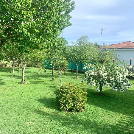 Apartmán A Casa Vermella Con Jardin A 10 Minutos De Santiago De Compostela Ortono Exteriér fotografie