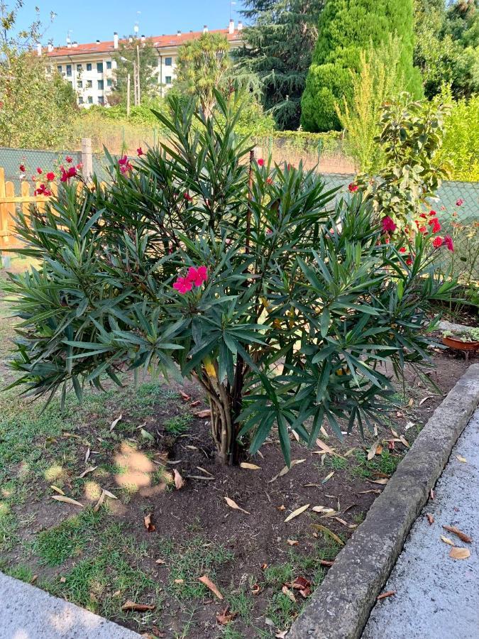 Apartmán A Casa Vermella Con Jardin A 10 Minutos De Santiago De Compostela Ortono Exteriér fotografie