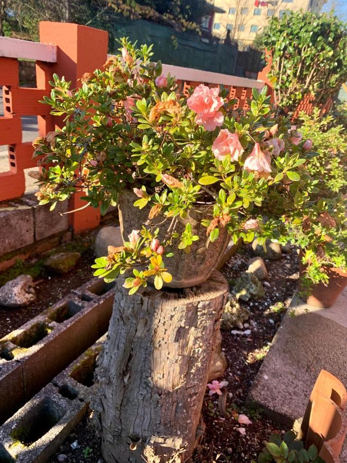 Apartmán A Casa Vermella Con Jardin A 10 Minutos De Santiago De Compostela Ortono Exteriér fotografie